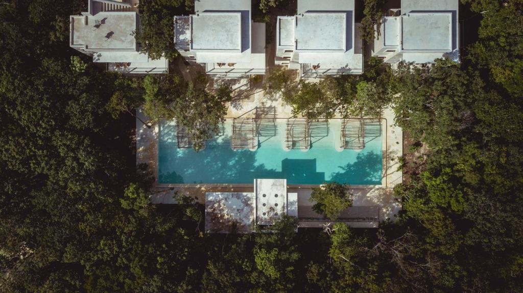 Двухместный (Номер Делюкс с 2 кроватями размера «queen-size»), Hotel Holistika Tulum