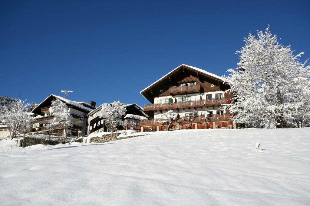 Hotel Adler Garni with mountain view