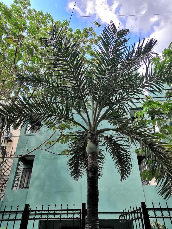 Апартаменты (Улучшенные апартаменты), Condo Playatour