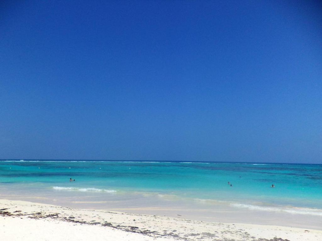 Апартаменты (Стандартные апартаменты), Condo Playatour