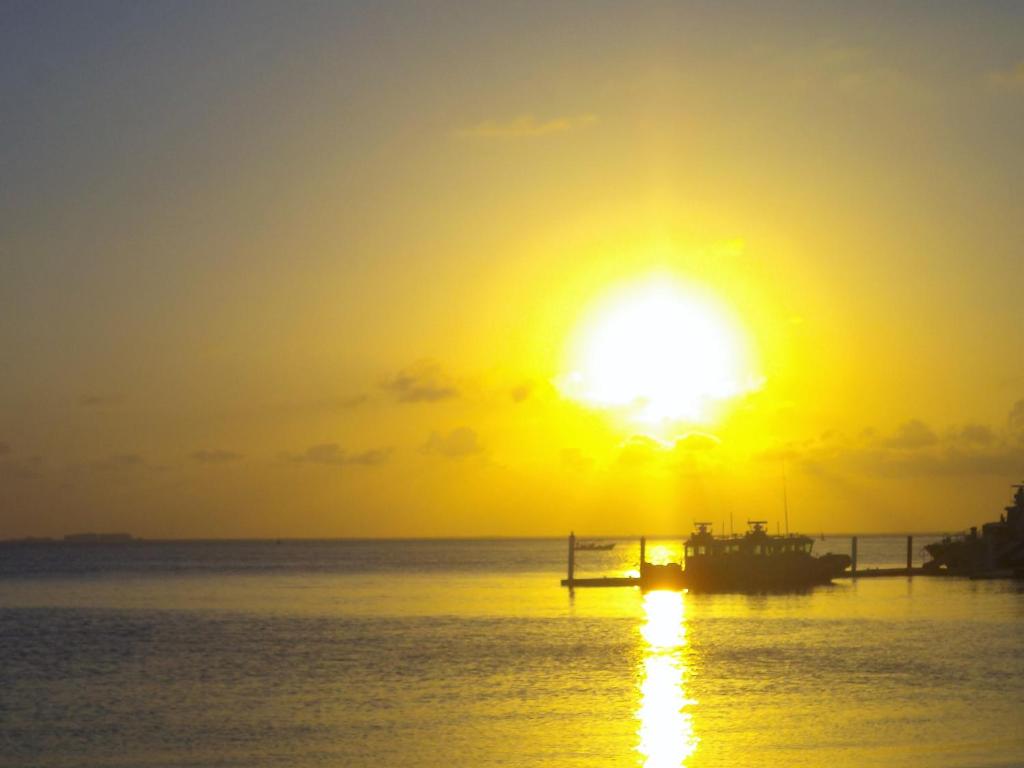 Апартаменты (Улучшенные апартаменты), Condo Playatour