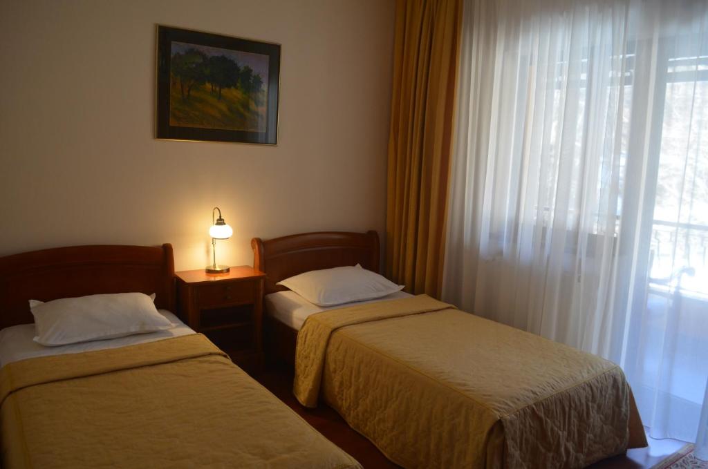 Двухместный (Двухместный номер с 2 отдельными кроватями) гостевого дома Pensiunea Magura, Бая-Маре