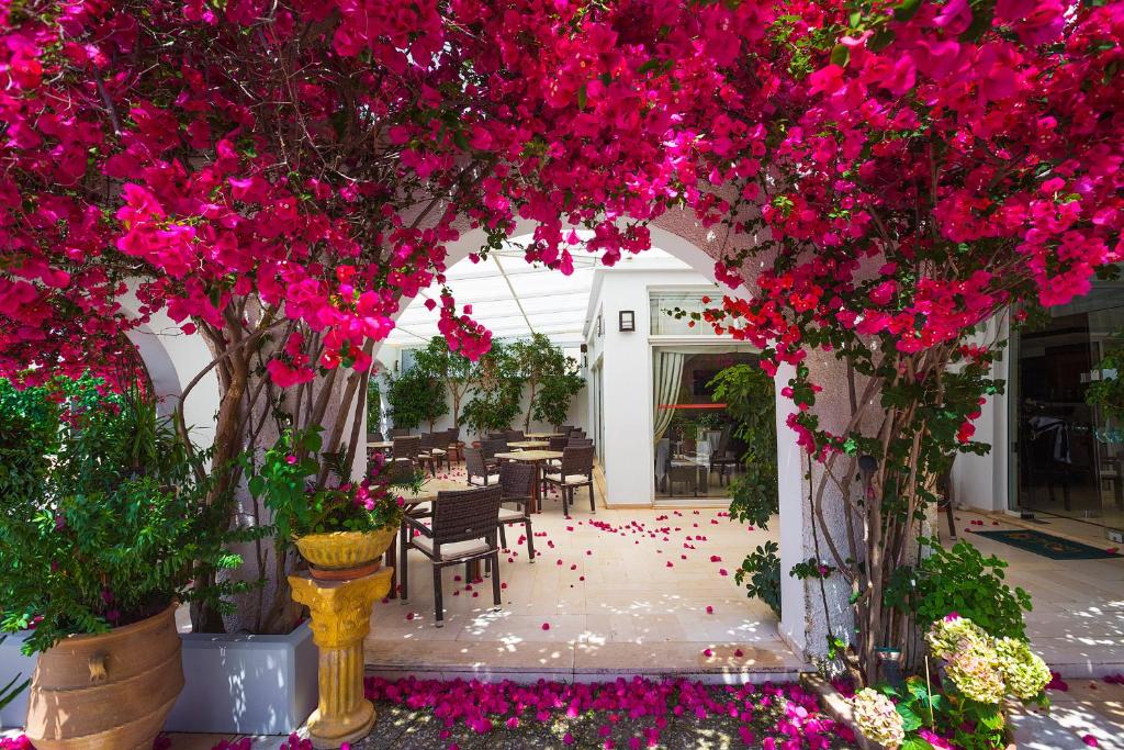 Одноместный (Одноместный номер эконом-класса) отеля Kyparissia Beach Hotel, Кипарисия