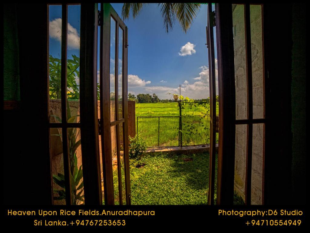 Двухместный (Двухместный номер с 1 кроватью и патио) отеля Heaven Upon Rice Fields, Анурадхапура