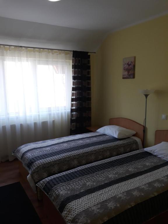 Двухместный (Стандартный двухместный номер с 2 отдельными кроватями) гостевого дома Pensiunea Ana, Рымнику-Вылча