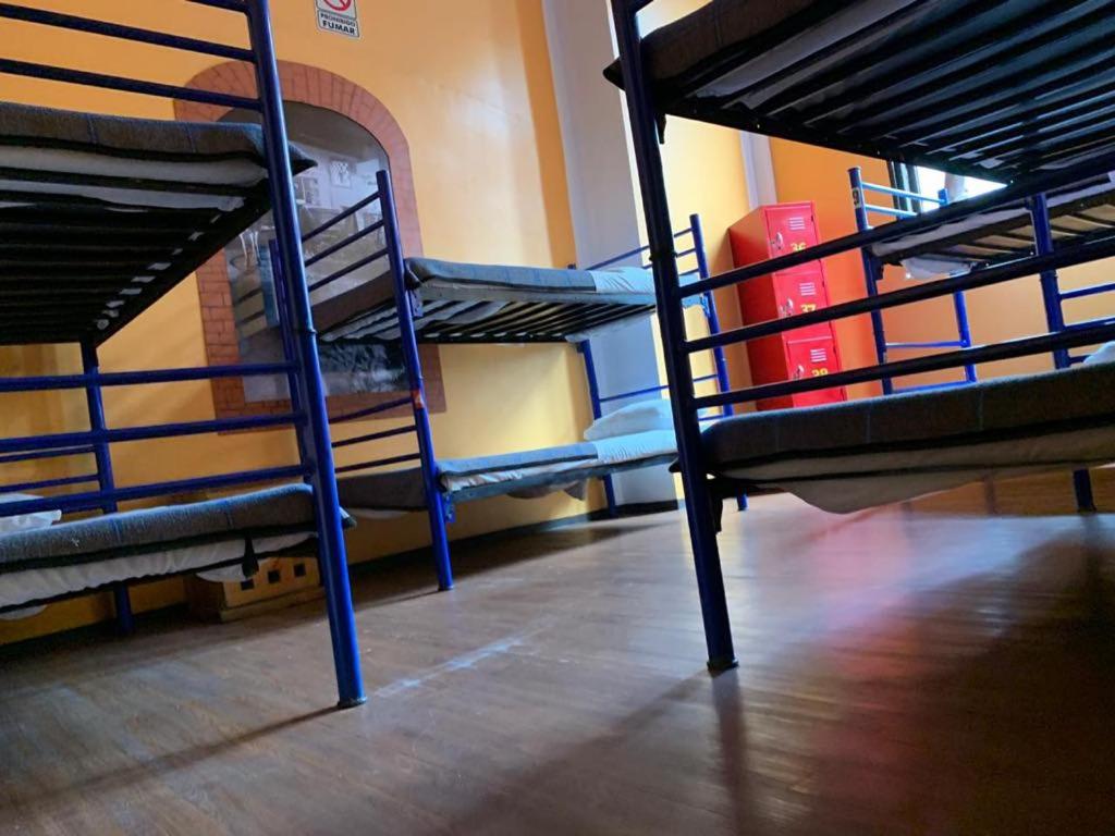 Номер (Кровать в общем 6-местном номере для мужчин и женщин) хостела Hostel Amigo, Мехико