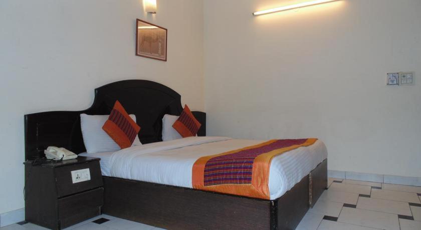 Двухместный (Стандартный двухместный номер с 1 кроватью) отеля Hotel Maharaja, Нью-Дели
