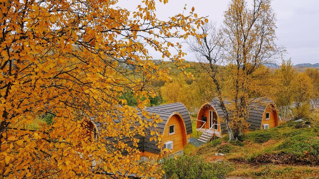 Номер (Коттедж), Kirkenes Snowhotel