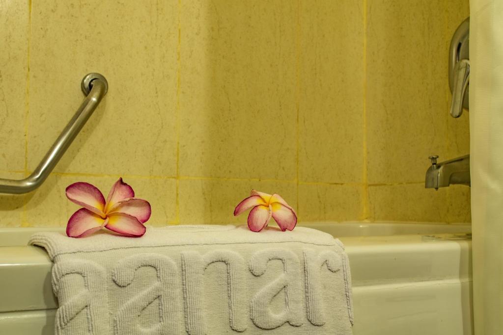 Двухместный (Клубный двухместный номер с 1 кроватью) отеля Aanari Hotel & Spa, Флик-эн-Флак