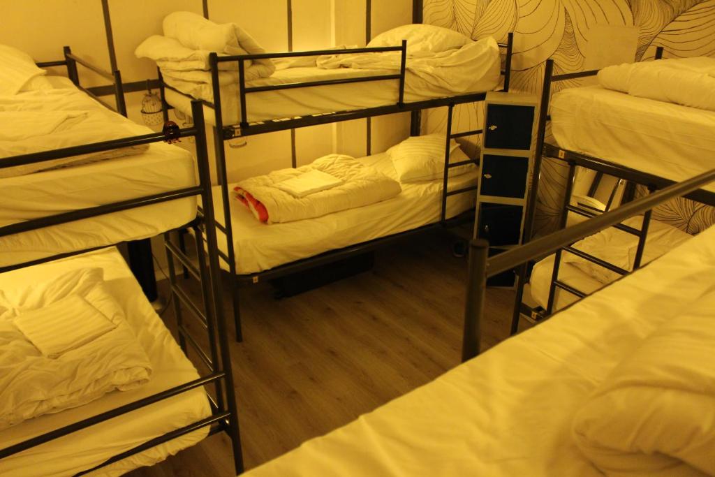 Номер (Спальное место на двухъярусной кровати в 8-местном общем номере для женщин) хостела Hostel The Golden Stork, Гаага