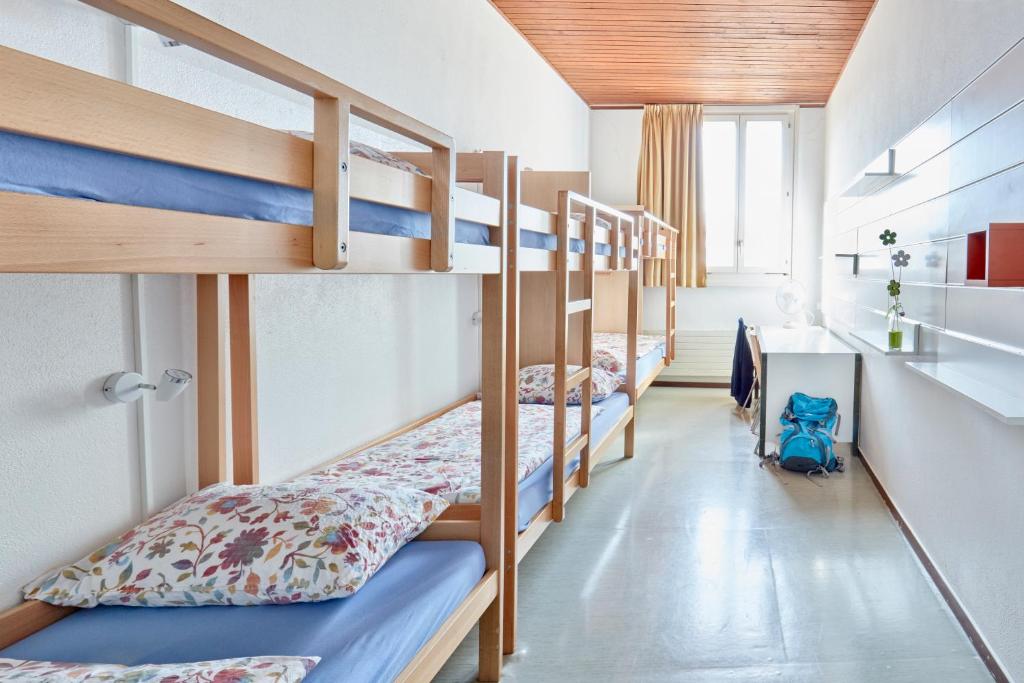 Номер (Односпальная кровать в общем номере для женщин) хостела Bellinzona Youth Hostel, Беллинцона