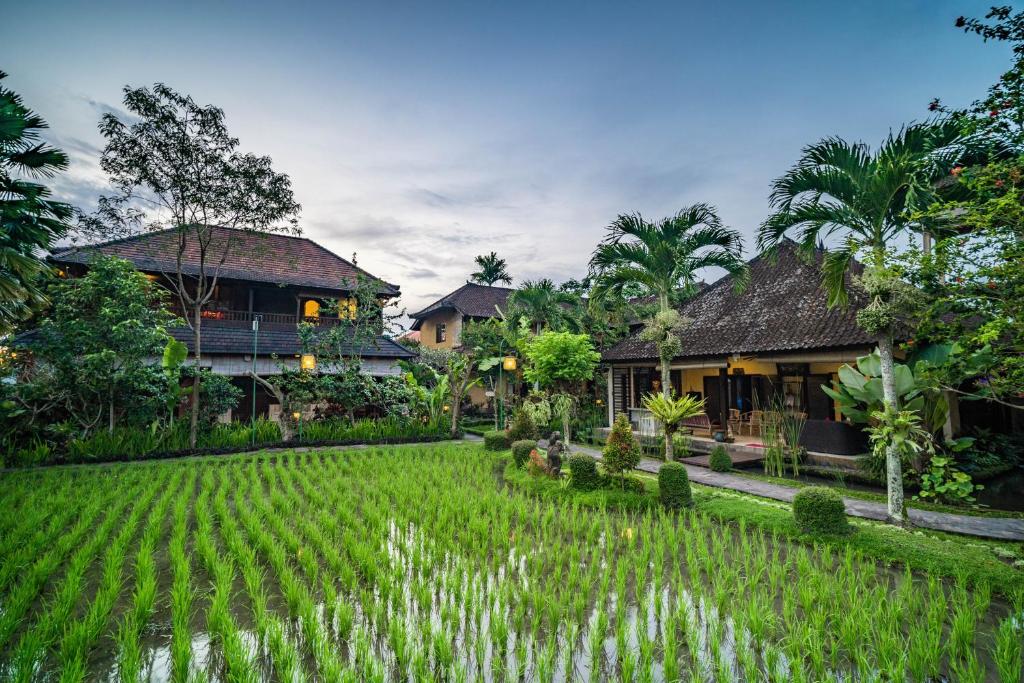 Двухместный (Номер Делюкс «Рисовые поля»), Bliss Ubud Spa Resort