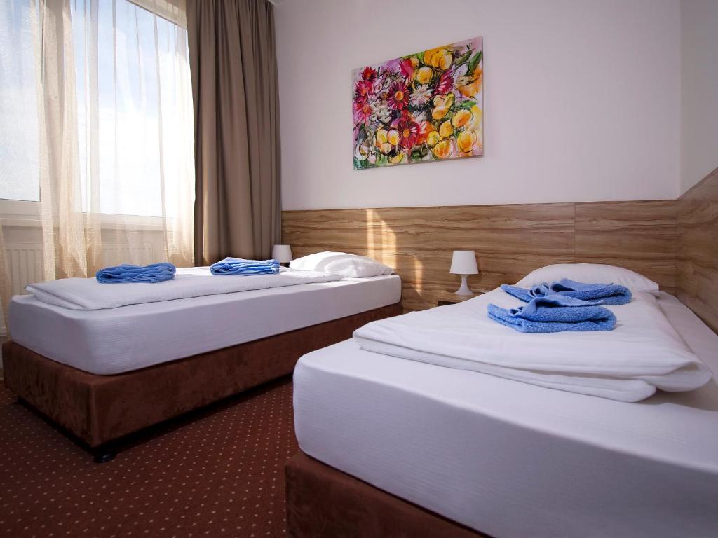 Двухместный (Двухместный номер с 1 кроватью или 2 отдельными кроватями) отеля Aviator Garni Hotel Bratislava, Братислава
