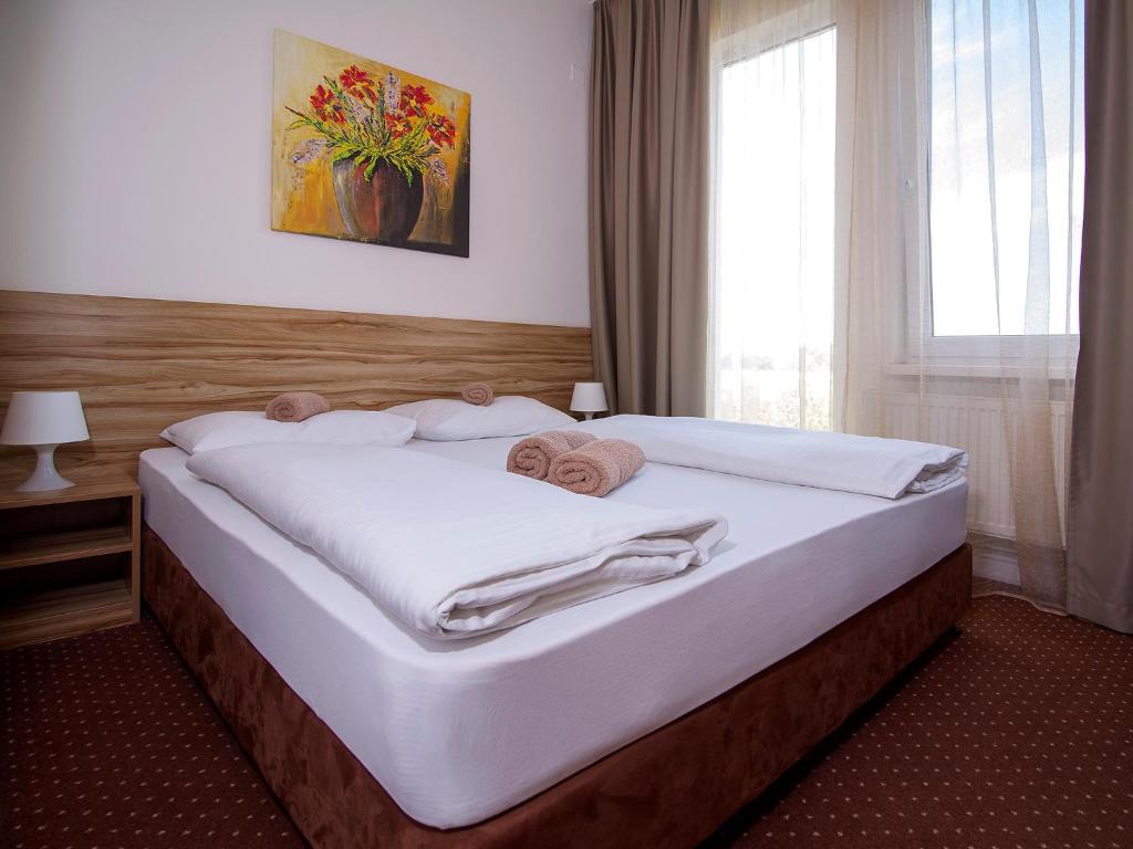 Двухместный (Двухместный номер с 1 кроватью или 2 отдельными кроватями и кухней) отеля Aviator Garni Hotel Bratislava, Братислава