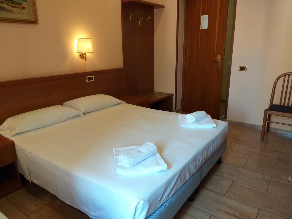Двухместный (Стандартный двухместный номер с 1 кроватью) отеля Hotel Aristotele, Рим