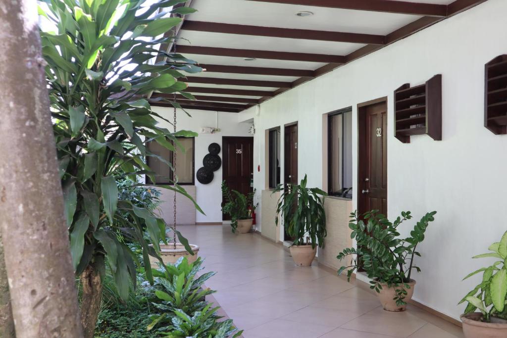 Двухместный (Garden View Superior Double Room) отеля Domicilio Lorenzo, Давао