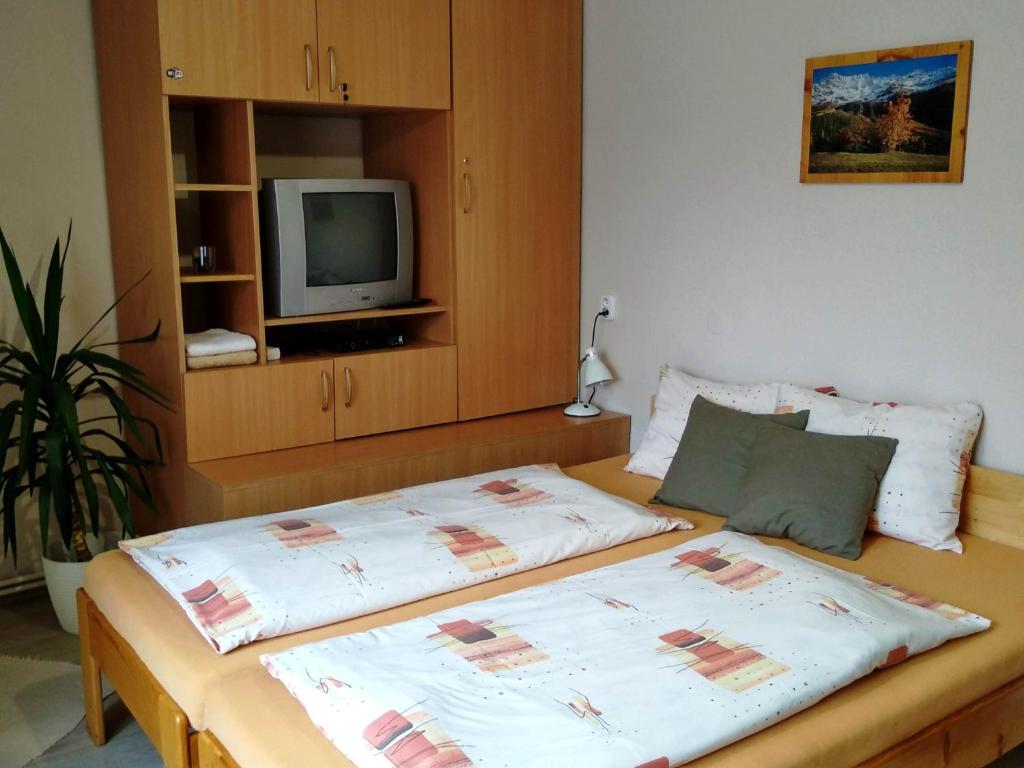 Двухместный (Двухместный номер с 1 кроватью) гостевого дома Penzión Oaza, Левоча