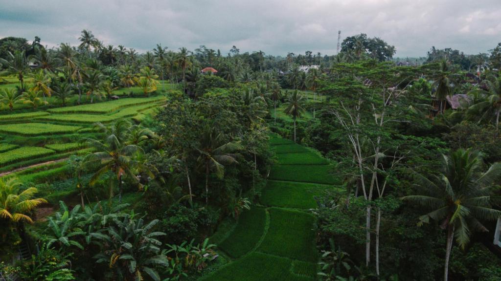 Вилла (Вилла) курортного отеля River Sakti Ubud by Prasi, Убуд