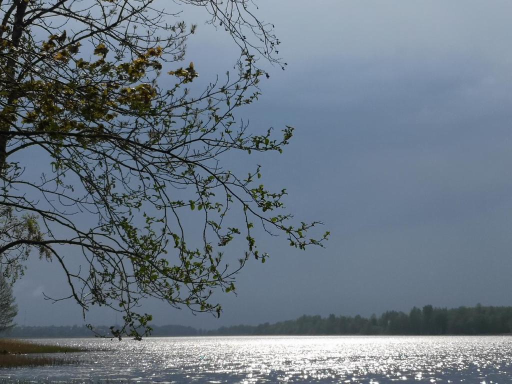 Номер (Дом для отпуска), DvīņuMājas