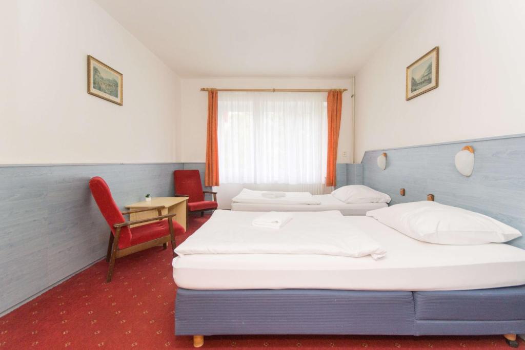 Двухместный (Двухместный номер с 1 кроватью или 2 отдельными кроватями) отеля Gejzir, Карловы Вары