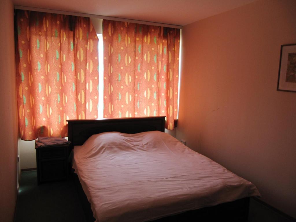 Двухместный (Двухместный номер эконом-класса с 1 кроватью) апартамента Senieji Bačkonys, Электренай