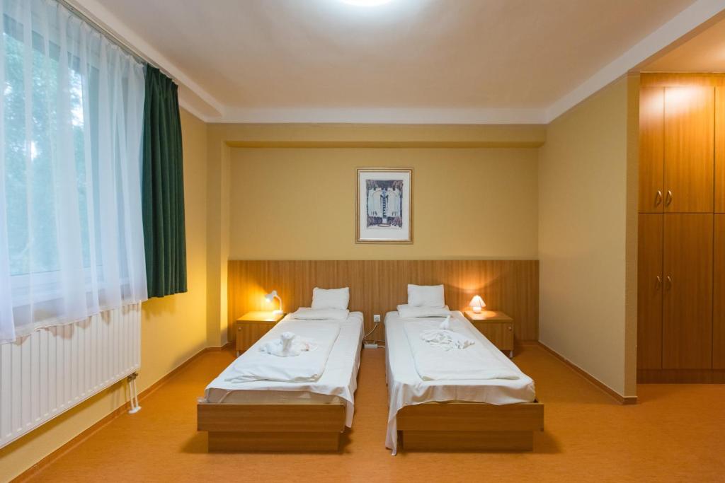 Двухместный (Стандартный двухместный номер с 1 кроватью или 2 отдельными кроватями) отеля Alföld Gyöngye Hotel, Орошхаза