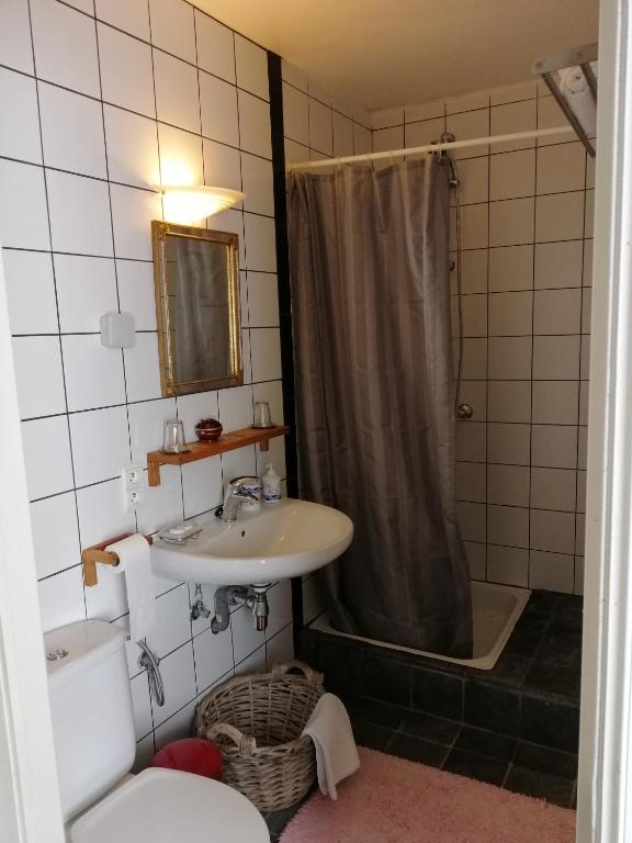 Двухместный (Стандартный двухместный номер с 1 кроватью) гостевого дома Johan's Lodge, Гент