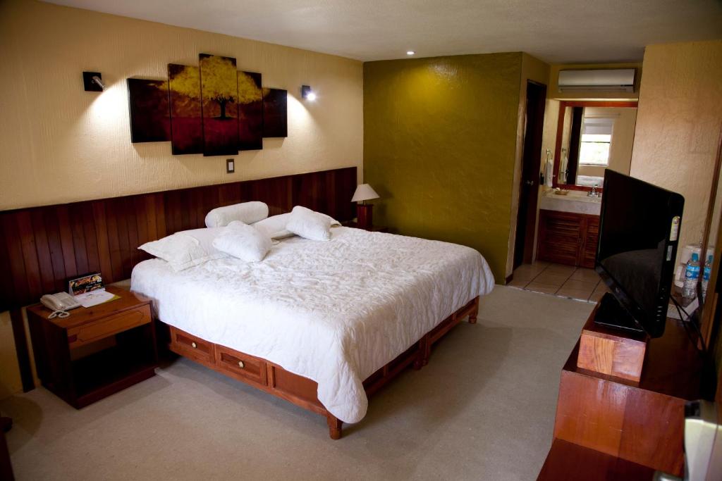 Двухместный (Номер с кроватью размера «king-size») отеля Los Andes Coatzacoalcos, Коацакоалькос