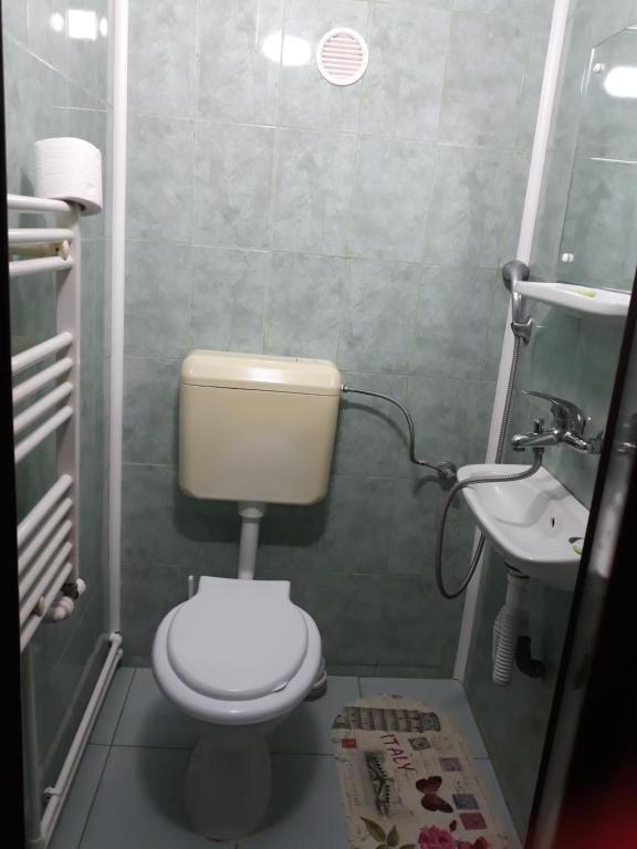 Двухместный (Двухместный номер с 1 кроватью и собственной ванной комнатой) гостевого дома Red Rock, Пьятра-Нямц