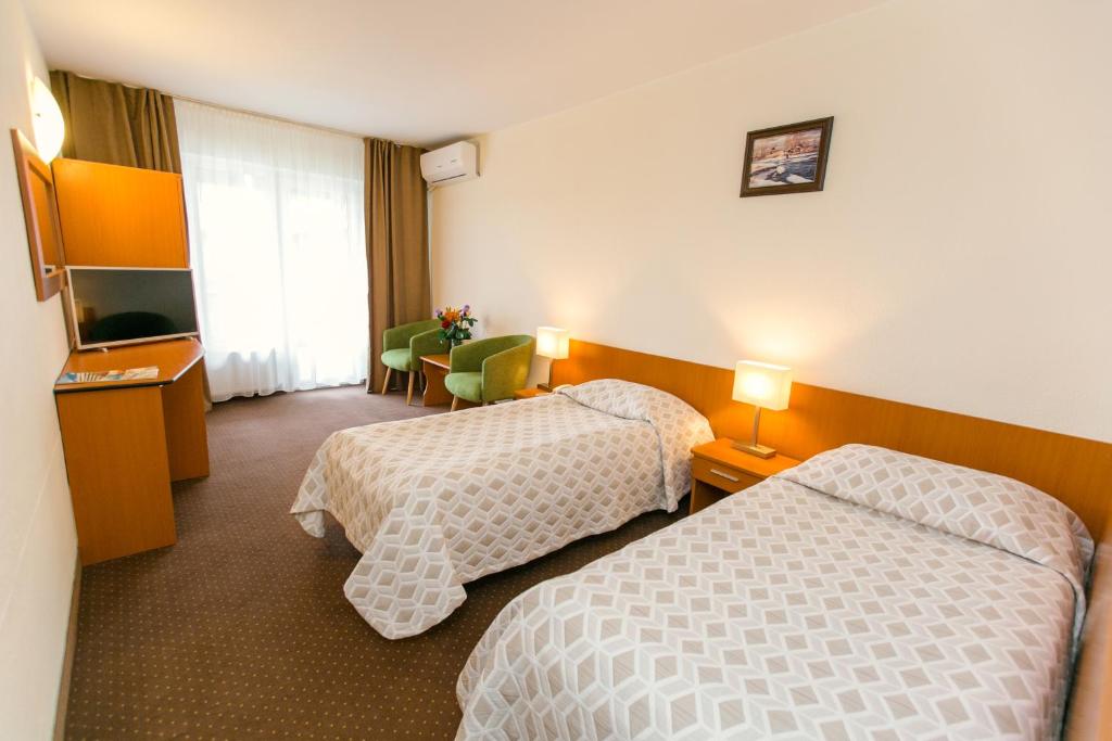 Двухместный (Двухместный номер с 1 кроватью или 2 отдельными кроватями) отеля Hotel Poienita, Бэйле-Феликс