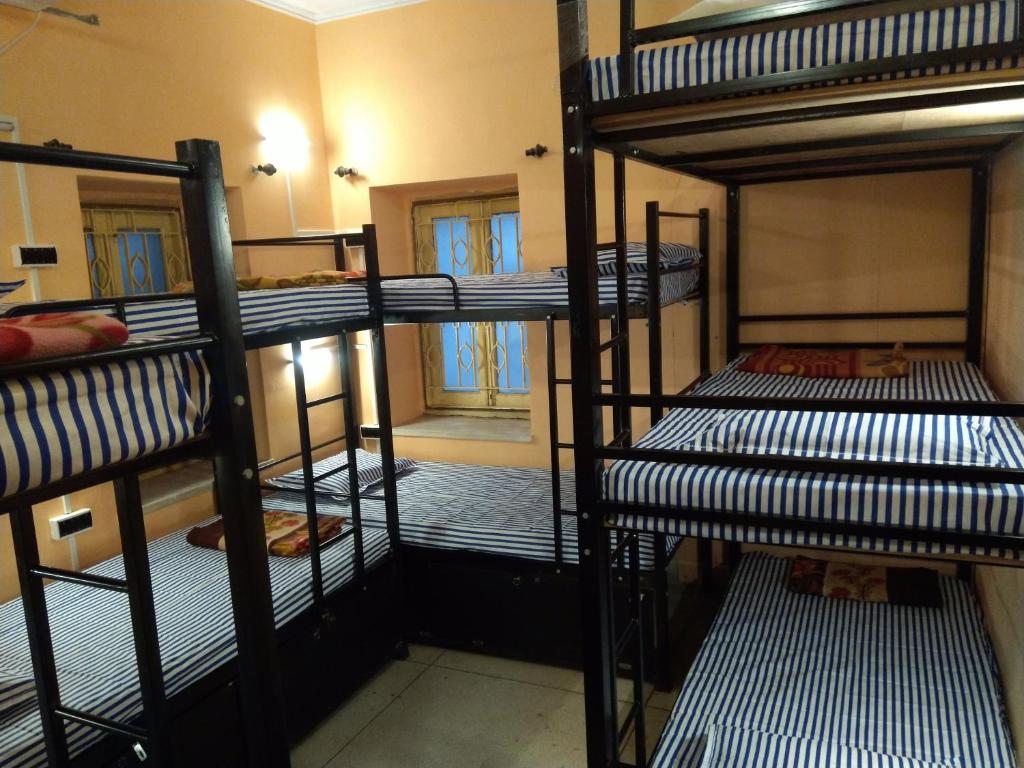 Номер (Bunk Bed in male  Dormitory Room), Gala Time Hostel