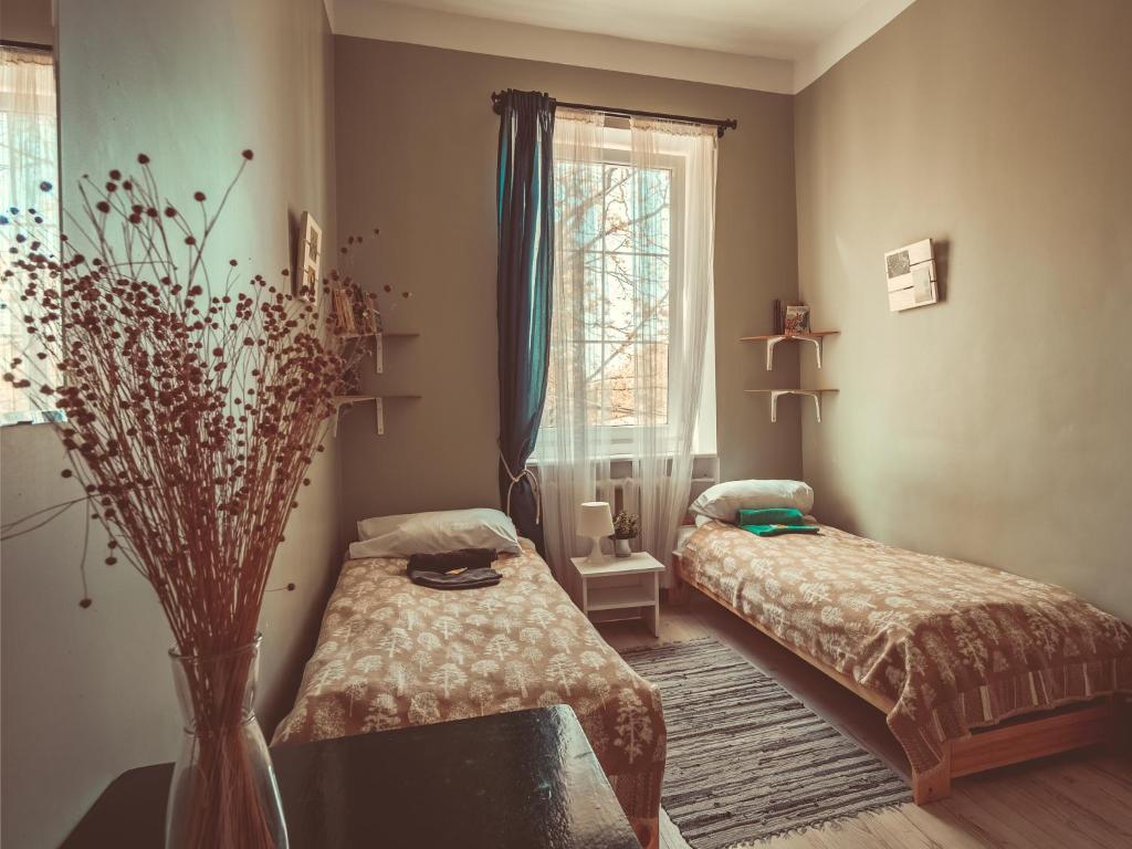 Двухместный (Двухместный номер с 2 отдельными кроватями и общей ванной комнатой) хостела Downtown Forest Hostel & Camping, Вильнюс