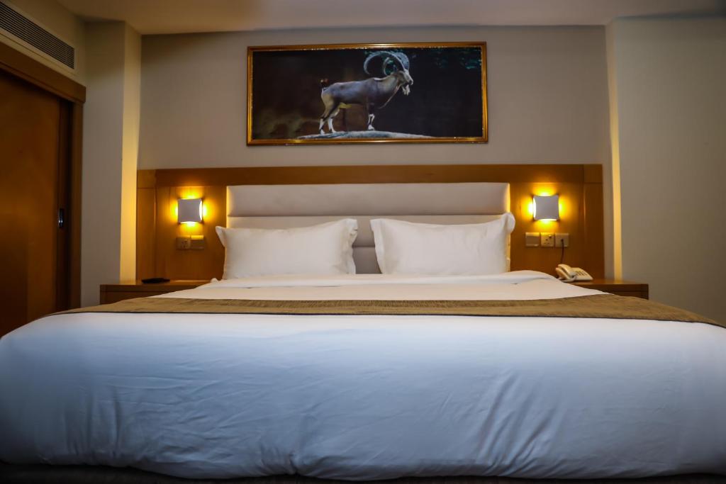 Двухместный (Стандартный номер с кроватью размера «king-size») отеля Muscat Plaza Hotel, Маскат