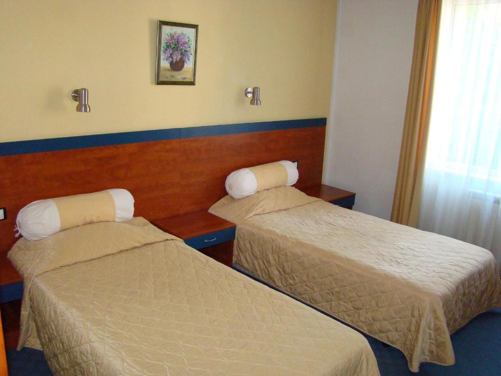 Двухместный (Двухместный номер с 1 кроватью или 2 отдельными кроватями) отеля Hotel Latinka, София
