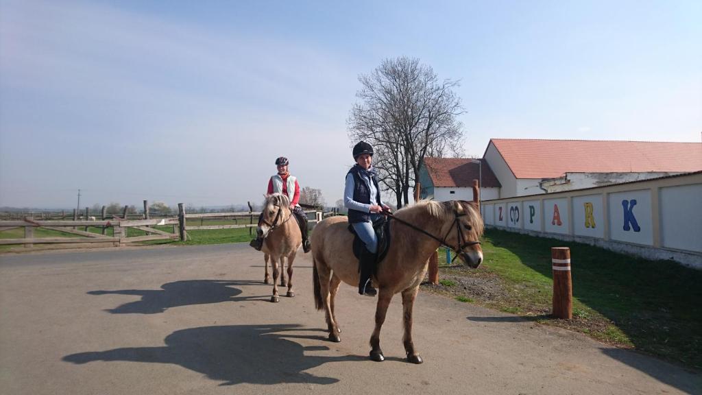 Апартаменты (Апартаменты с 1 спальней), Отель Zoopark Zelčín