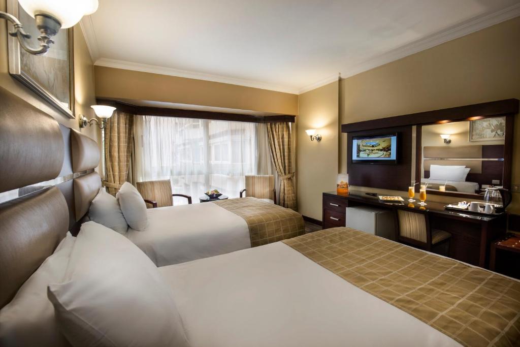 Одноместный (Стандартный одноместный номер), Pyramisa Suites Hotel Cairo