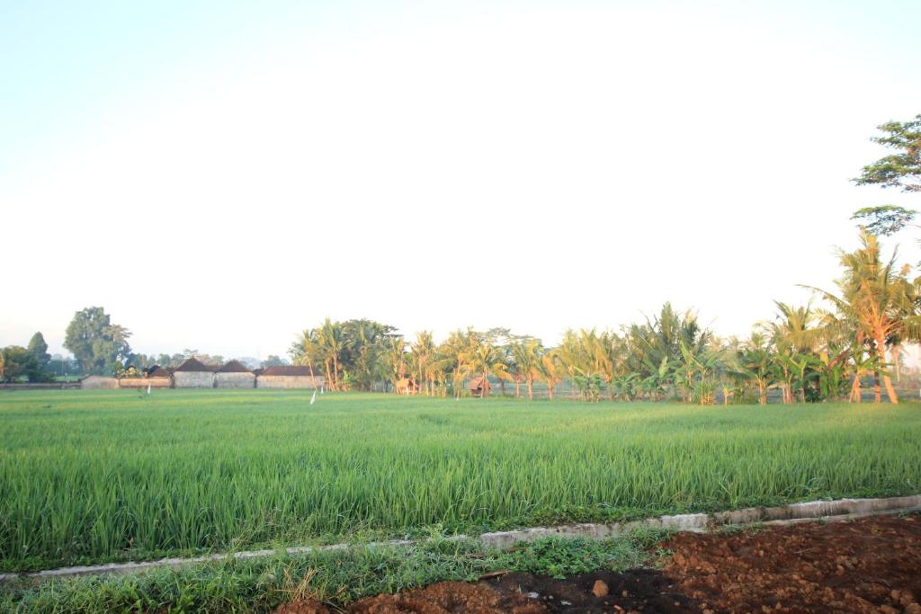 Двухместный (Улучшенный двухместный номер с 2 отдельными кроватями), Ayuna Family Ubud