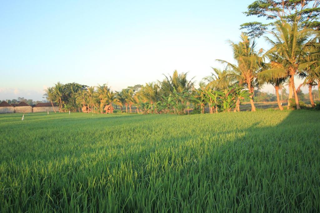 Двухместный (Улучшенный двухместный номер с 2 отдельными кроватями), Ayuna Family Ubud
