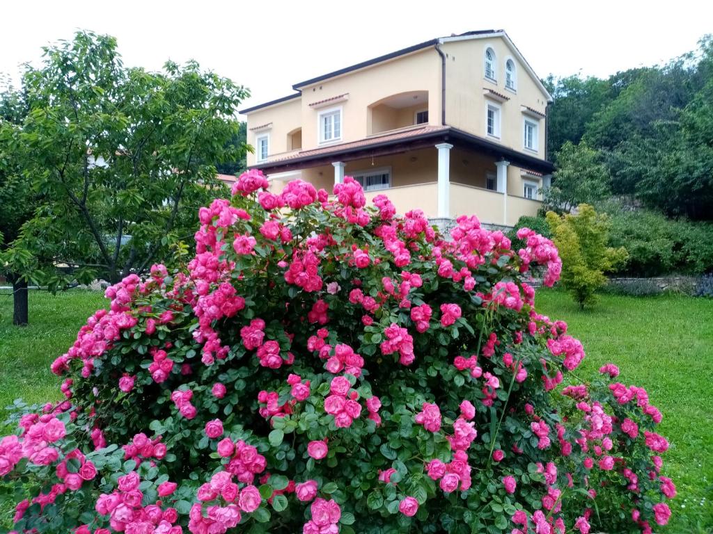 Двухместный (Двухместный номер с 1 кроватью и террасой) гостевого дома Guesthouse Villa AnnaDora, Брсеч