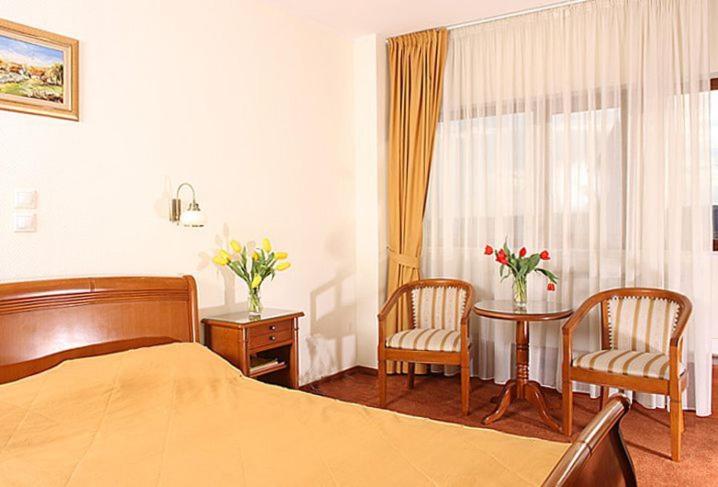 Двухместный (Двухместный номер с 1 кроватью или 2 отдельными кроватями, вид на дворец) отеля Hotel Moldova, Яссы