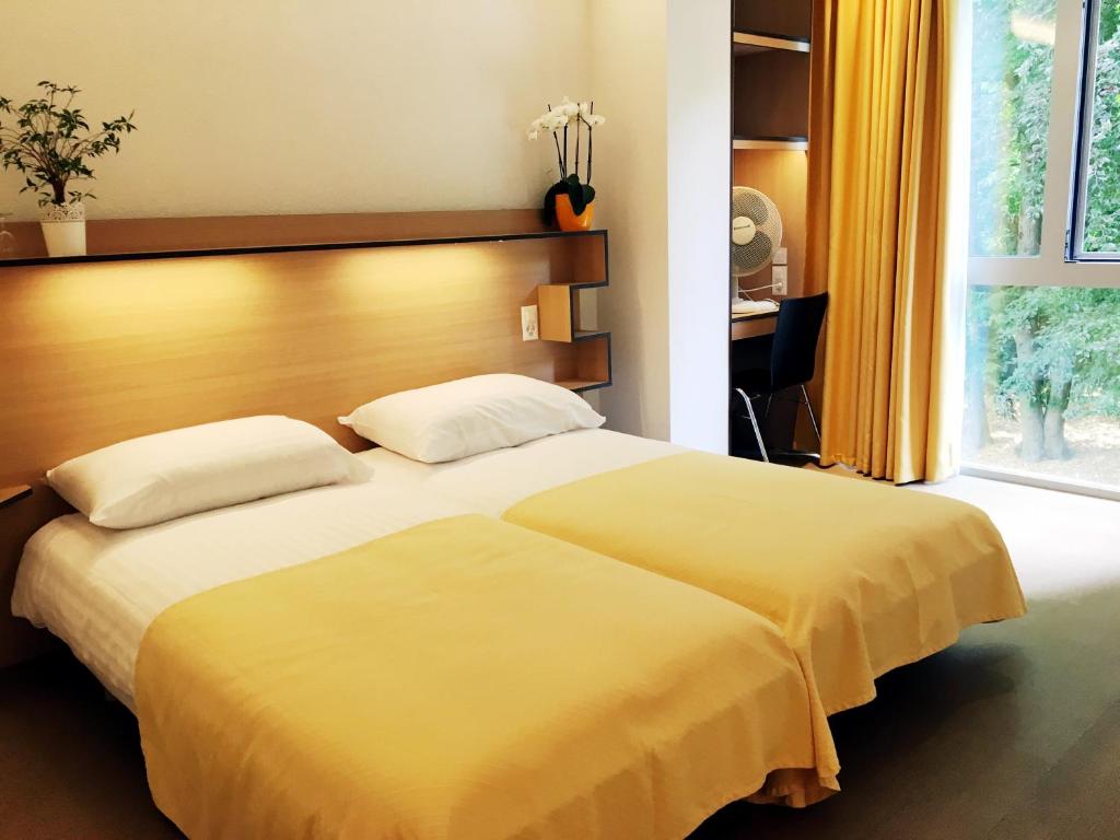 Двухместный (Двухместный номер с 2 отдельными кроватями, вид на сад) отеля Le Cénacle, Женева