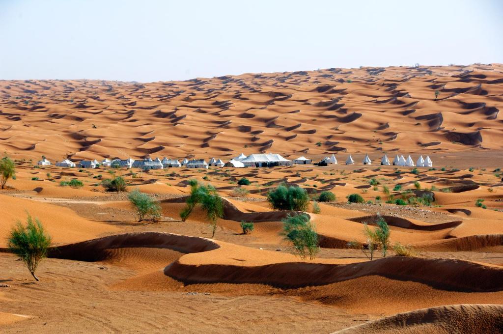 Номер (Палатка (4 взрослых)), Кемпинг Camp Mars