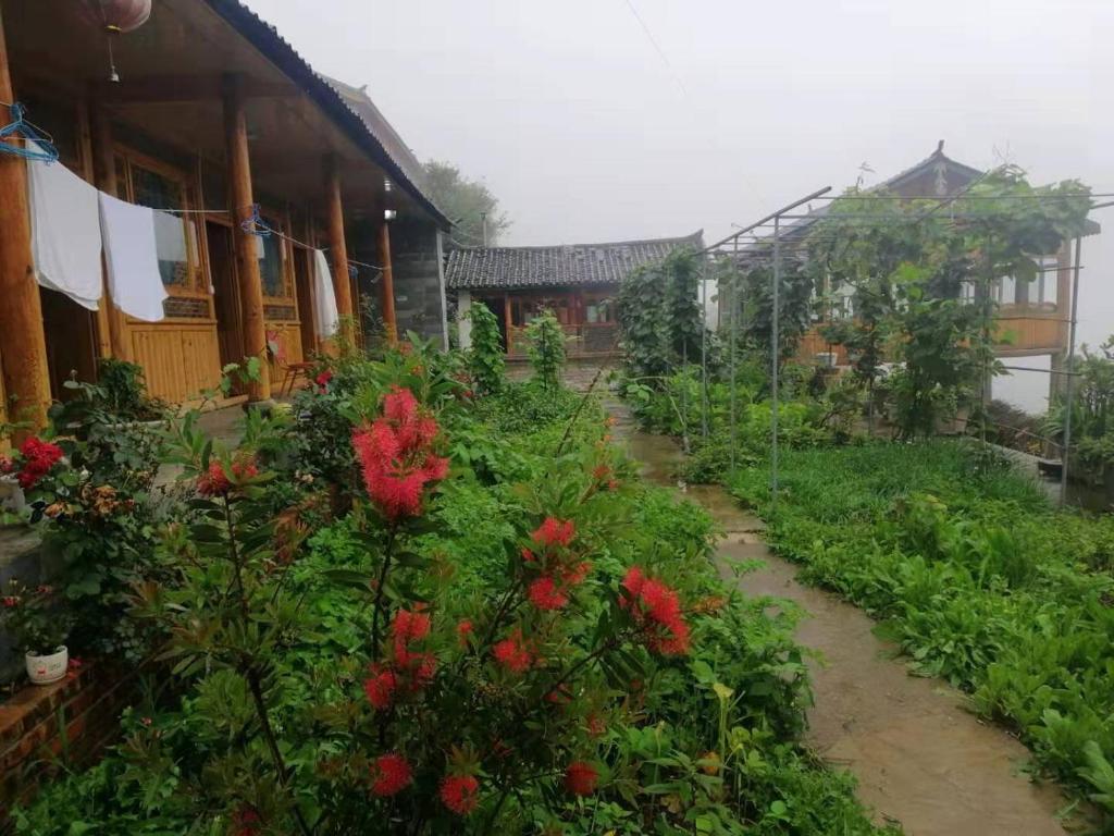 Четырехместный (Четырехместный номер с видом на горы), Walnut Garden Youth Hostel