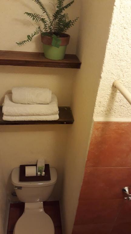 Четырехместный (Четырехместный номер с собственной ванной комнатой) отеля Casa Limonchelo Hotel B&B, Морелия