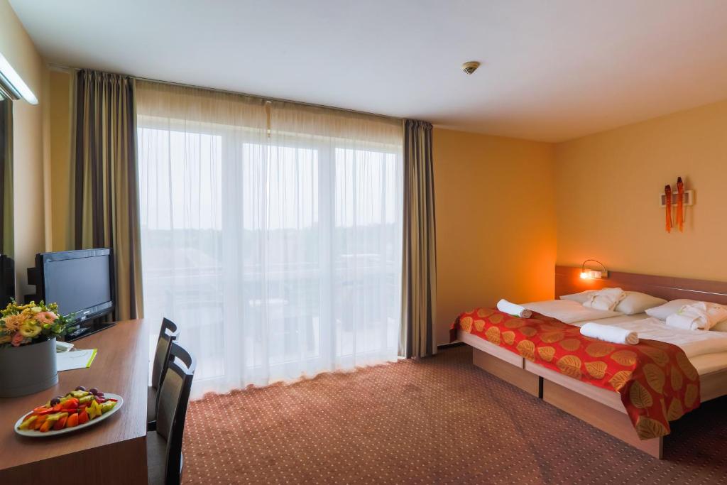 Двухместный (Двухместный номер с 1 кроватью) отеля CE Plaza Hotel, Шиофок