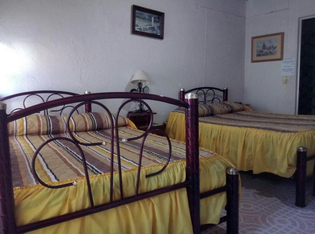 Апартаменты (Апартаменты с 1 спальней) хостела Casa Bertha, Гуанахуато