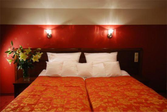 Двухместный (Двухместный номер с 1 кроватью или 2 отдельными кроватями) отеля Hotel Victoria, Влоцлавек