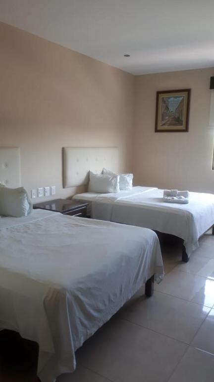 Двухместный (Стандартный двухместный номер с 1 кроватью) отеля Hotel Del Viajero, Сьюдад-дель-Кармен