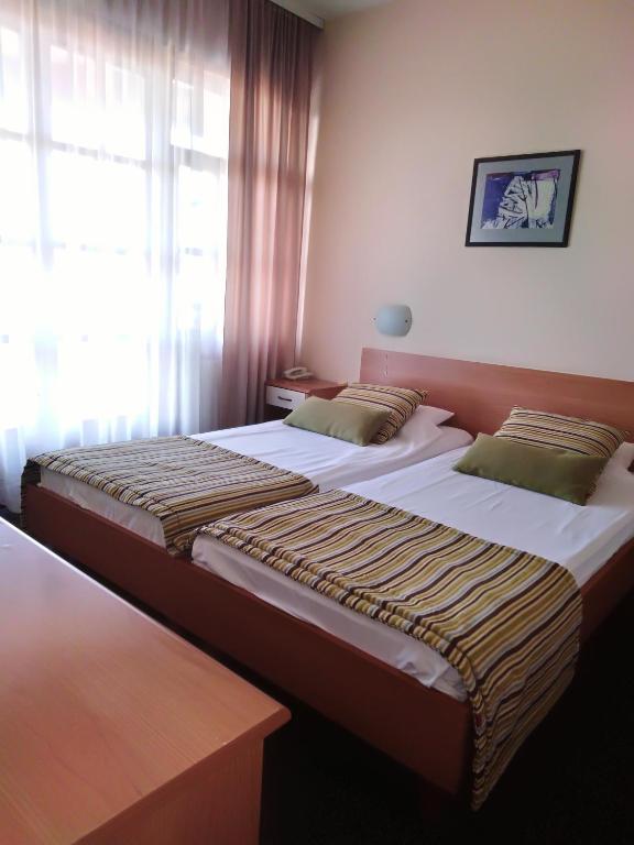 Двухместный (Стандартный двухместный номер с 1 кроватью или 2 отдельными кроватями) отеля Hotel Aleksandar, Ниш