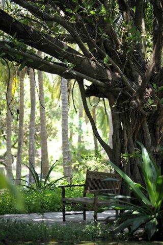 Вилла (Вилла с собственным бассейном), Aashyana Lakhanpal